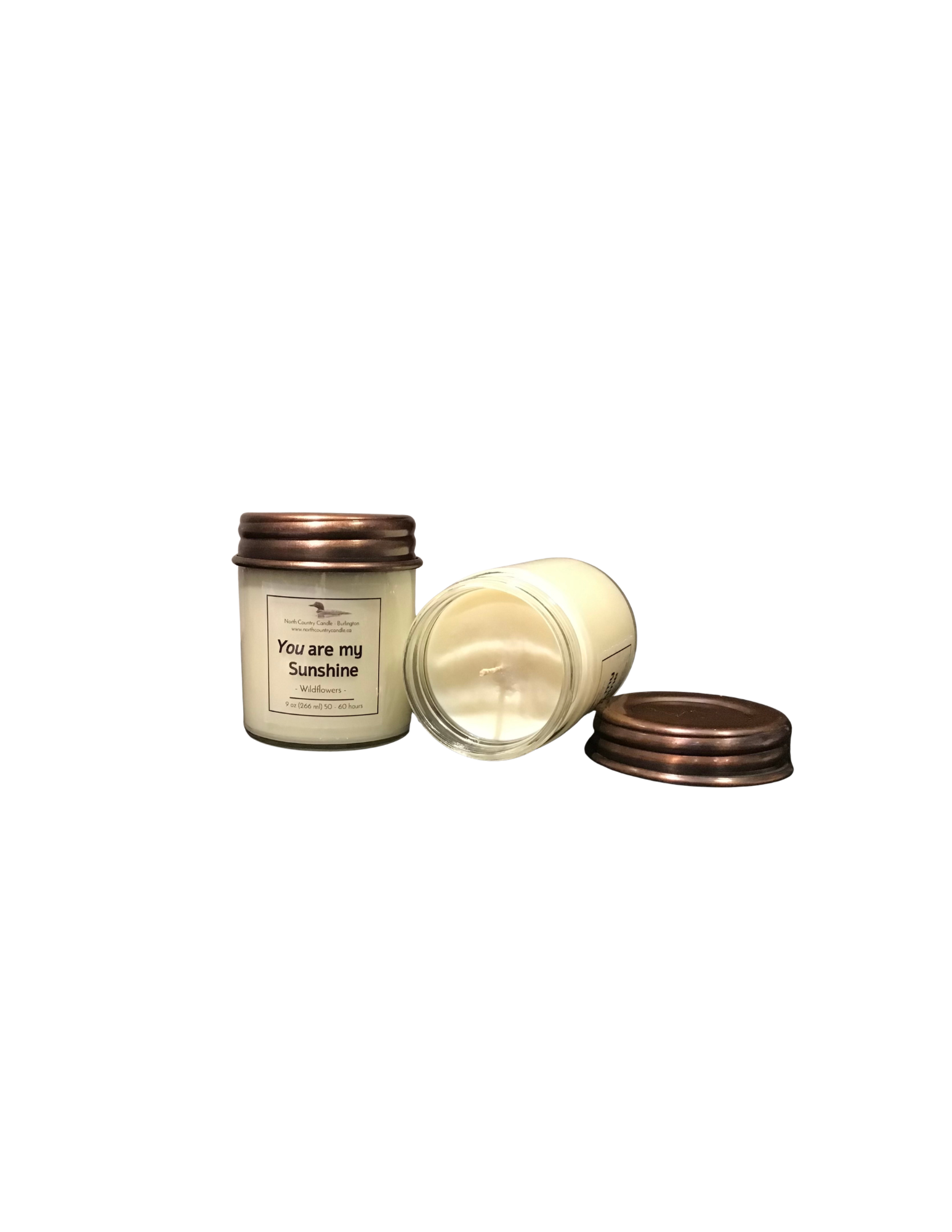 Scentiments - 9 oz Soy Wax Candles