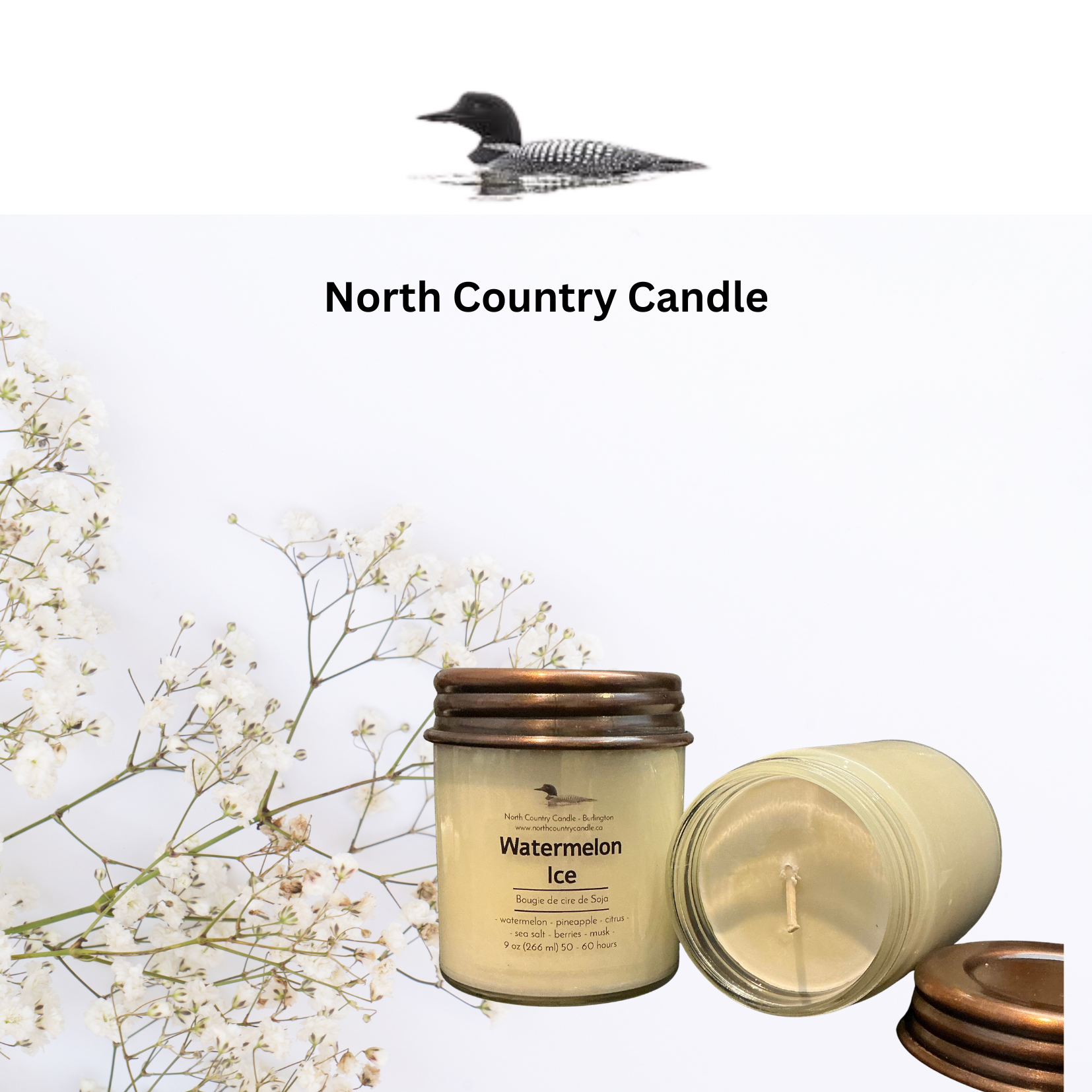Watermelon Ice - 9 oz Soy Wax Candle