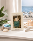 Abalone + Sea Hanging Gift Boxed Car Freshener
