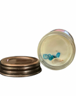 Abalone + Sea Soy Candle with Sea Glass + Shells