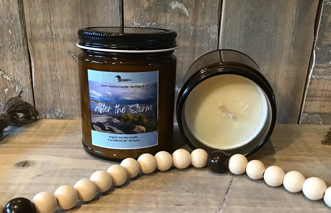 Refill -  9 oz Soy Wax Candle