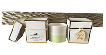 Load image into Gallery viewer, 14 oz Ceramic Planter Candle- Boxed
