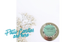 Lemongrass Verbena Patio Candle Tin