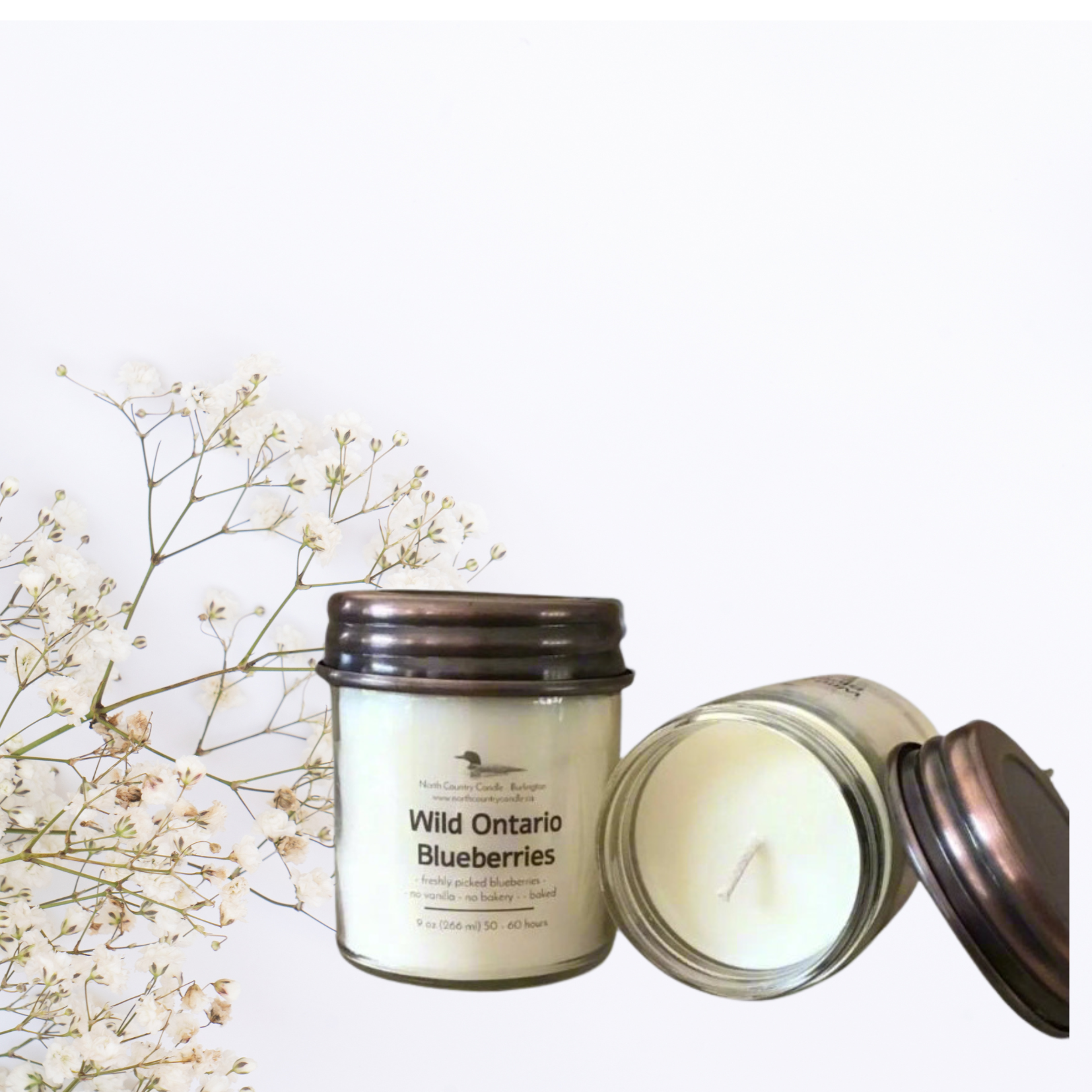 Wild Ontario Blueberries - 9 + 12 oz Soy Wax Candle