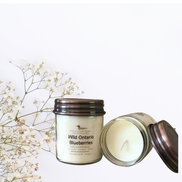 Wild Blueberries 9 oz So Candle