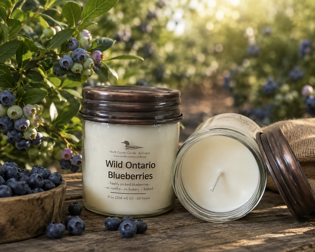 Wild Ontario Bueberries Soy Wax Candles
