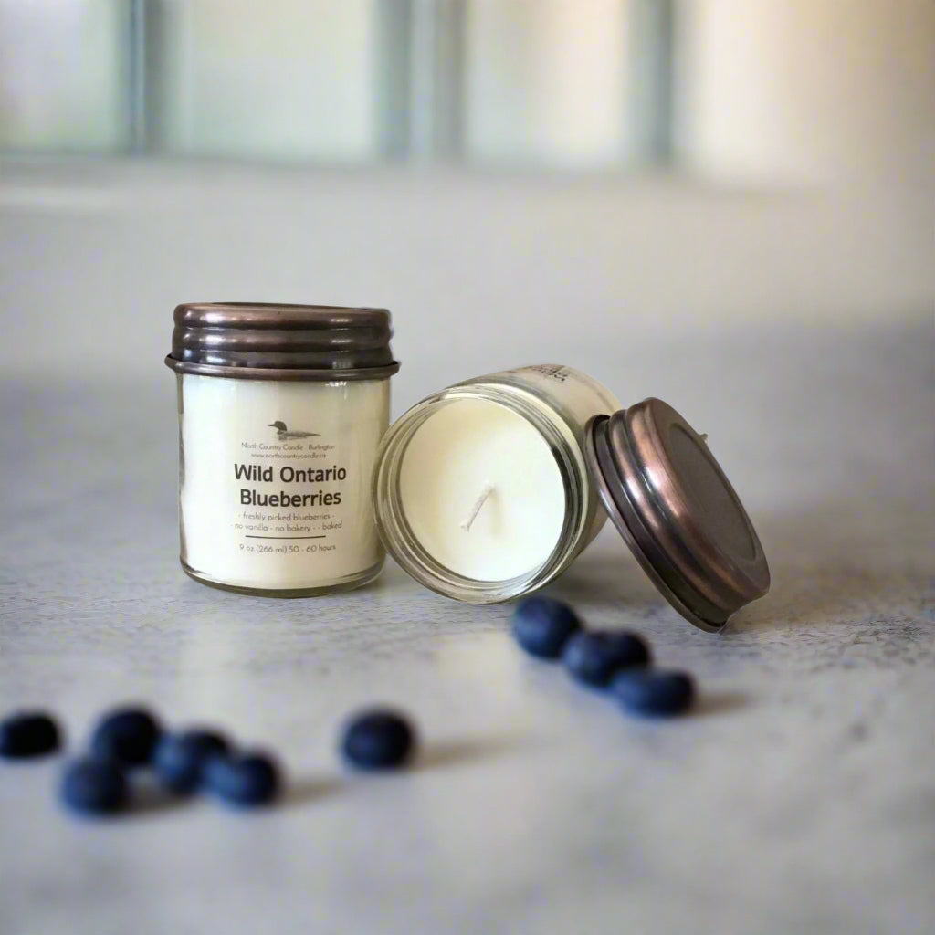 Wild Ontario Blueberries - 9 oz Soy Candle